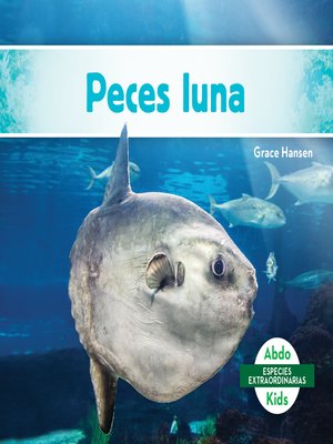 cover image of Peces luna (Mola Ocean Sunfish)